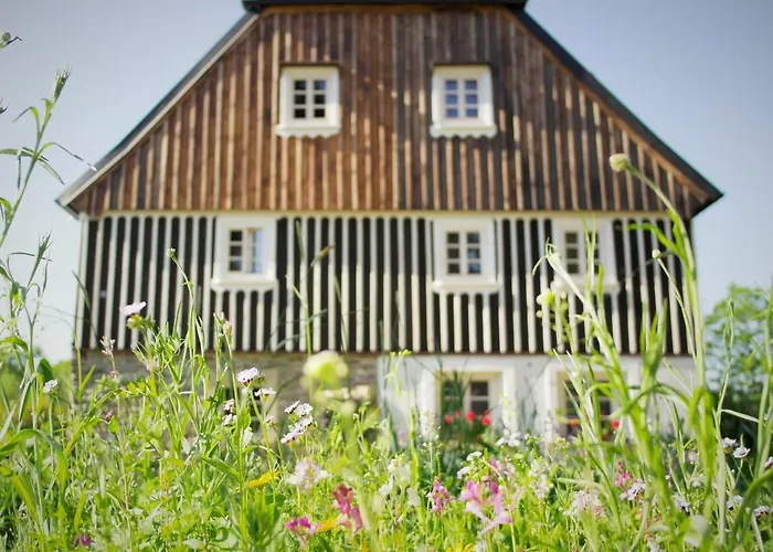 Guest house Dom Pod Mandragora Swieradow-Zdroj