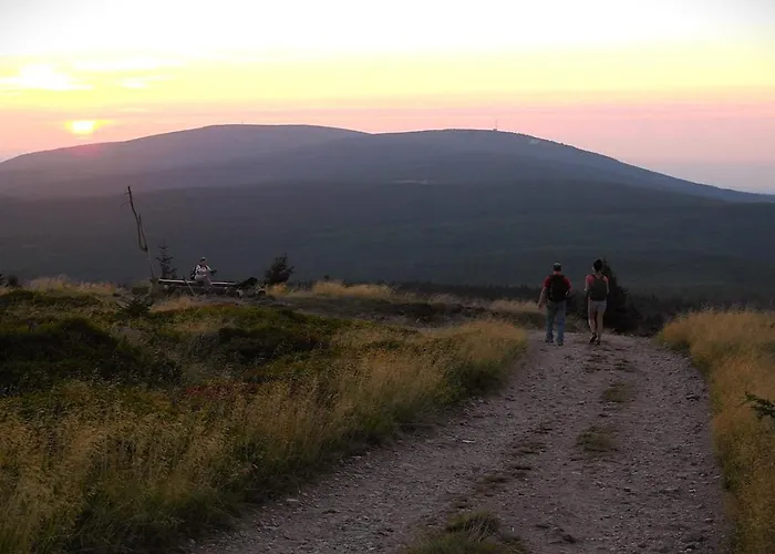 Dom Pod Mandragora Guest house 3*