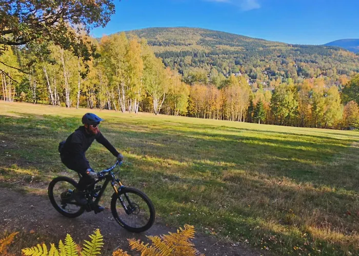 Guest house Dom Pod Mandragora Swieradow-Zdroj